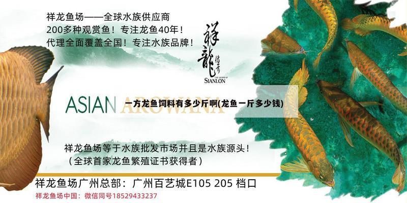 龍魚飼料魚干：如何自制龍魚營養均衡飼料，龍魚活餌處理與安全喂養