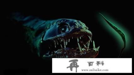 賣龍魚取一個店名字可以嗎怎么取，為賣龍魚的店鋪取名的方法和具體名字示例