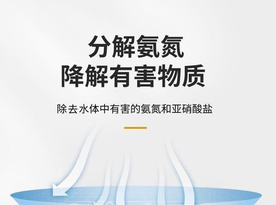 龍魚缸硝酸鹽高怎么辦：如何降低龍魚缸硝酸鹽含量