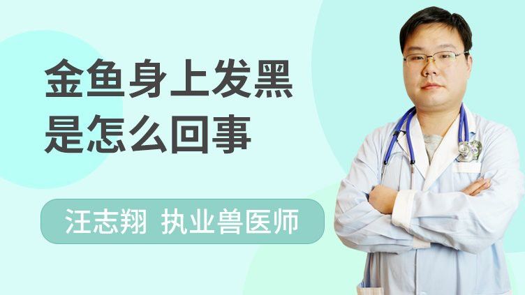 金龍魚身上的黑點是什么