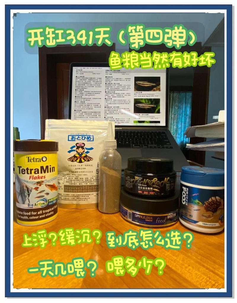 如何判斷紅龍魚飼料是否合適？