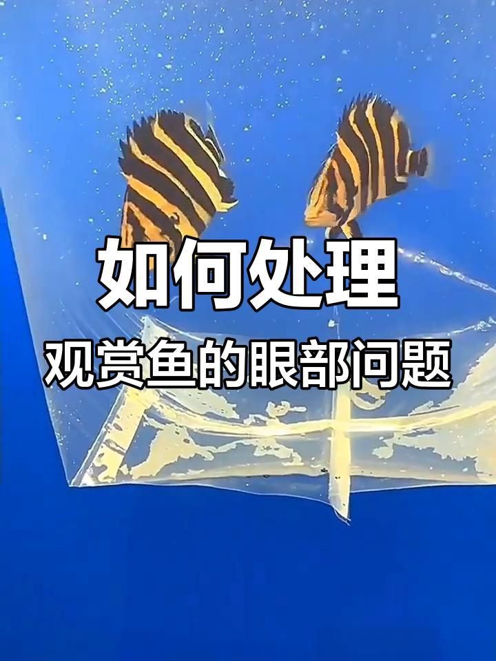 能詳細說說魚眼睛白膜的病因嗎？