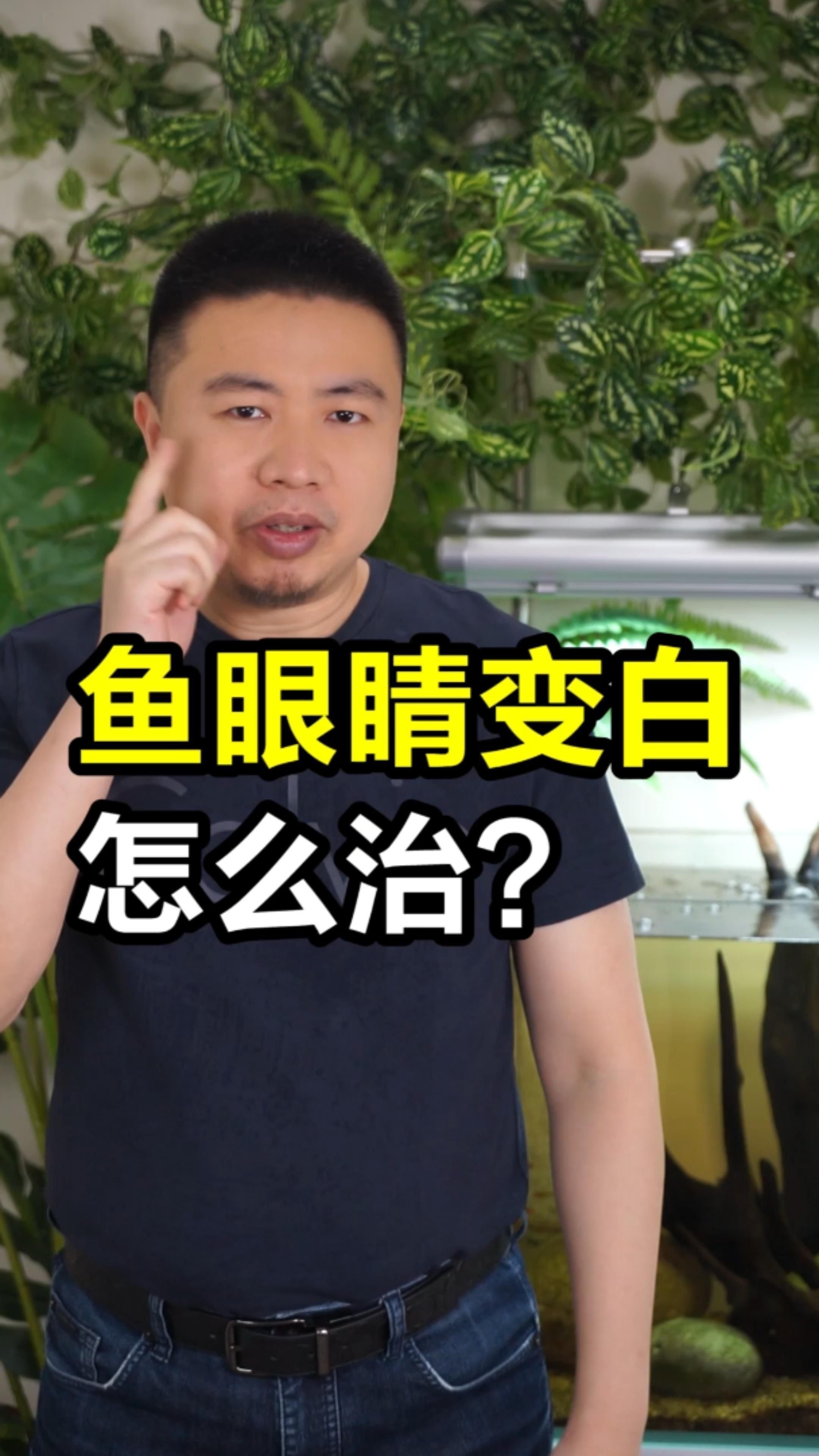 能詳細說說魚眼睛白膜的病因嗎？