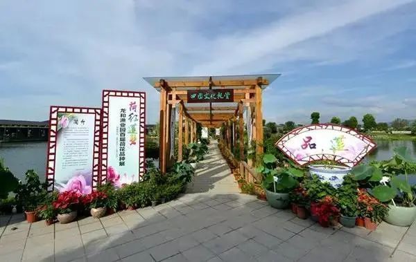 龍游龍與漁業(yè)園的創(chuàng)始人背景和歷史