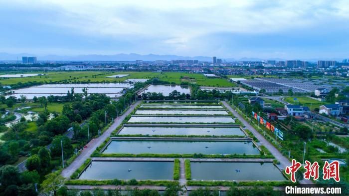 龍游龍與漁業(yè)園的創(chuàng)始人背景和歷史