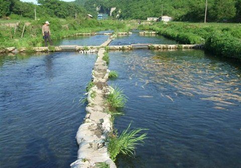 龍游龍與漁業(yè)園的創(chuàng)始人背景和歷史