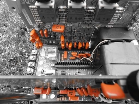 金龍魚兌換卡售價(jià)（金龍魚兌換卡售價(jià)未明確提及金龍魚兌換卡售價(jià)是多少）