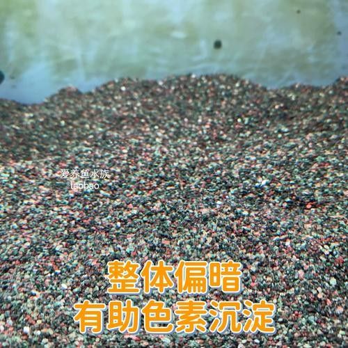 龍魚怎么打包郵寄給別人