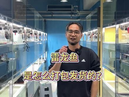 龍魚怎么打包郵寄給別人