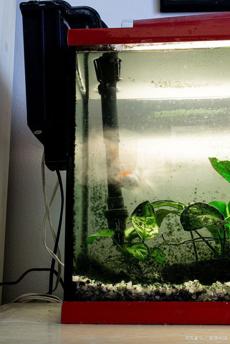 如何判斷金龍魚過濾器是否合適
