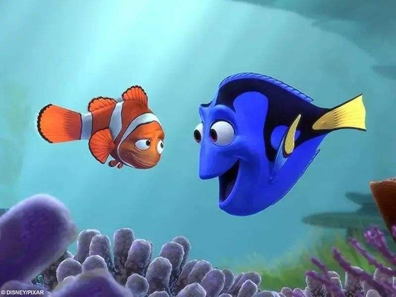 龍魚認主后還能記住多久？