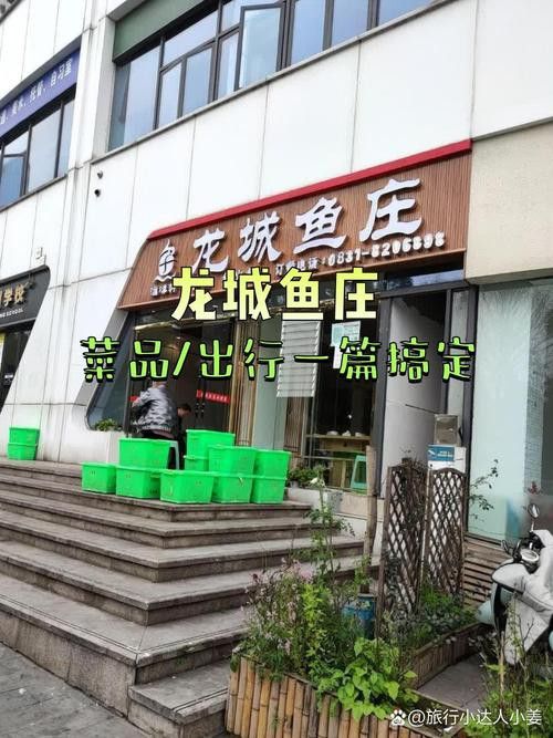 唐山龍魚去哪買