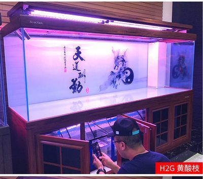 龍魚喂飼料好消化嗎為什么不吃東西：龍魚喂飼料是否好消化