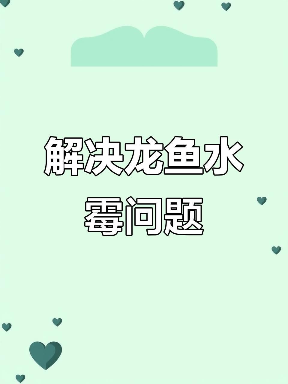 如何判斷龍魚是否感染霉菌？