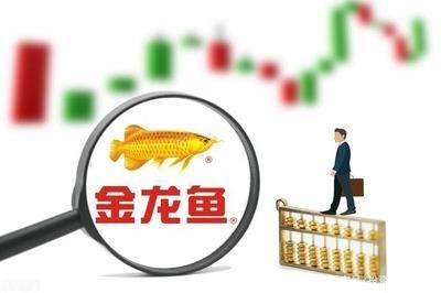 金龍魚實時股價：5月5日金龍魚實時股價