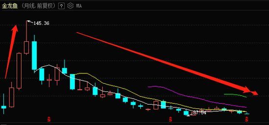金龍魚實時股價：5月5日金龍魚實時股價