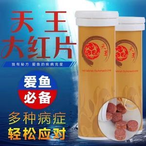 龍魚霉菌用什么藥治療：如何治療龍魚霉菌病