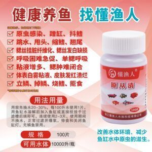 龍魚抖鰭是什么原因：龍魚抖鰭可能由多種因素引起