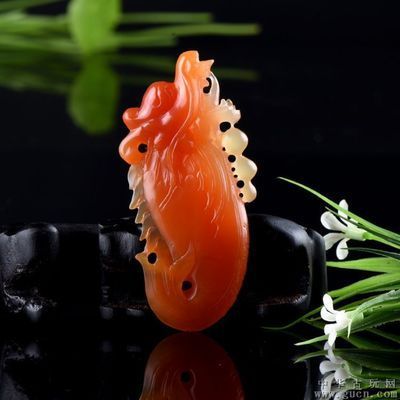 云南龍魚（云南龍魚是一種什么樣的魚？）