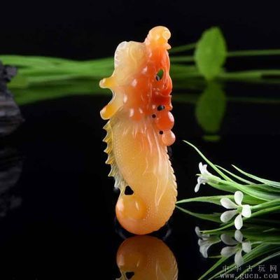 云南龍魚（云南龍魚是一種什么樣的魚？）