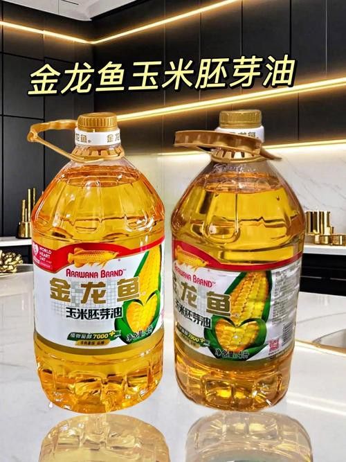 哪里可以購買到金龍魚玉米油？
