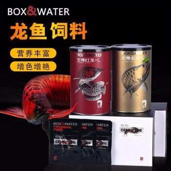 博特龍魚飼料怎么樣啊（博特龍魚飼料與活餌搭配方法）