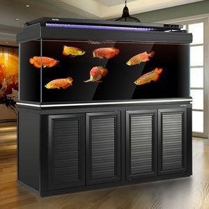 龍魚缸：關(guān)于龍魚缸的一些詳細(xì)信息