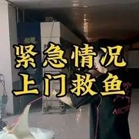 銘龍漁場的水族救治技術如何