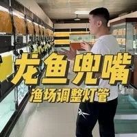 銘龍漁場的水族救治技術如何