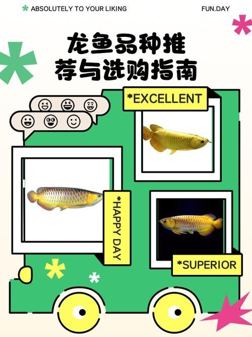 龍魚種類圖片大全大圖
