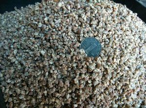 龍魚缸能放麥飯石嗎：魚缸用麥飯石有利還是弊？