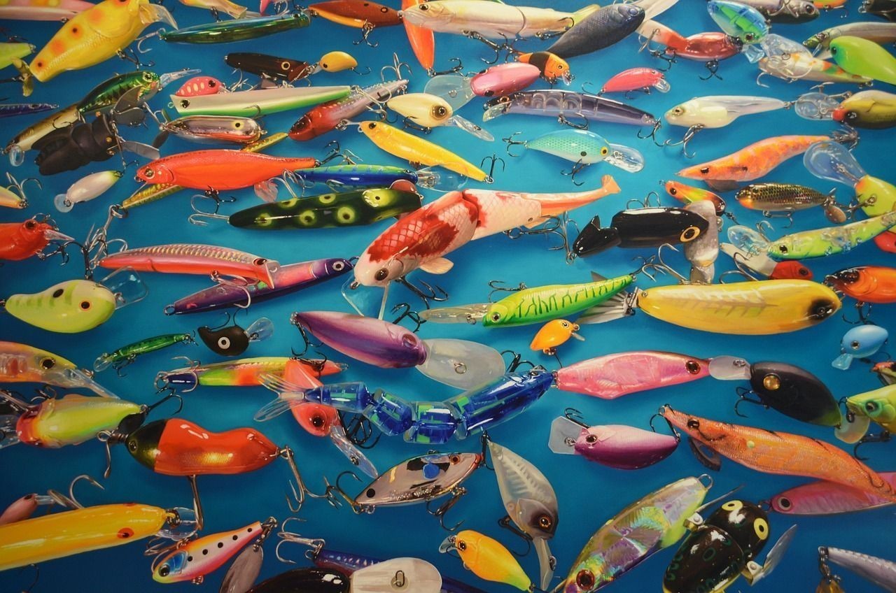 海鱸魚價格2021年市場價（海鱸魚多少錢一斤市場價2021）