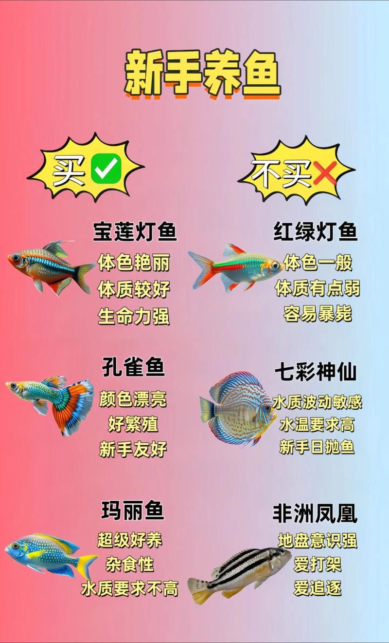 孔雀魚和龍魚混養好不好呢圖片