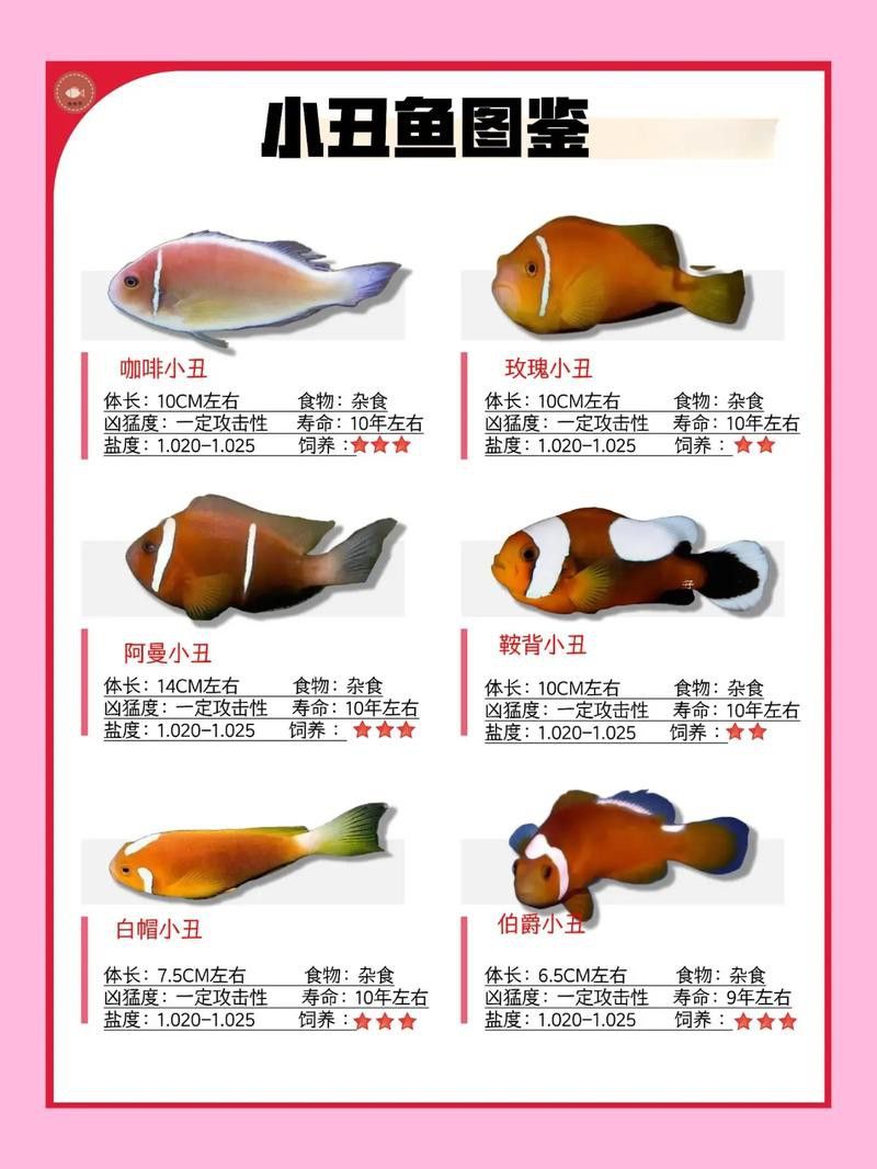 孔雀魚和龍魚混養好不好呢圖片
