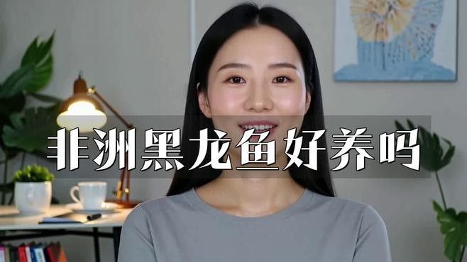 黑鱗龍魚飼養(yǎng)難度如何？