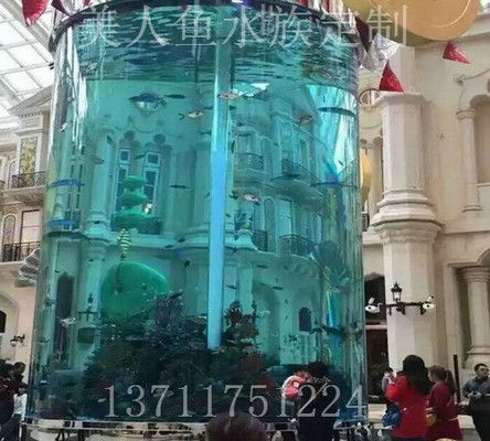 龍魚捕食：龍魚缸最佳尺寸圖紙