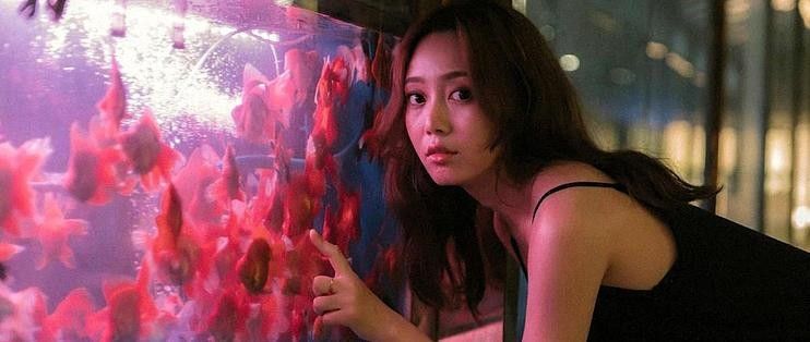 隔離期間龍魚需要喂食嗎？
