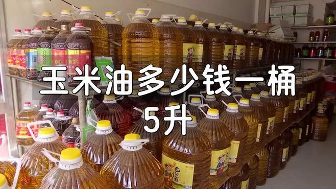 金龍魚純正玉米油5升價格