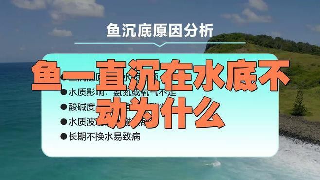 如何判斷曼龍魚是否患病？
