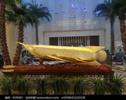 日本金龍魚雕塑（金龍魚雕塑在日本家居中的布局之一）
