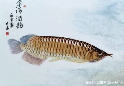 畫金龍魚的大師級(jí)作品是什么畫金龍魚的大師作品是什么：畫金龍魚的大師作品