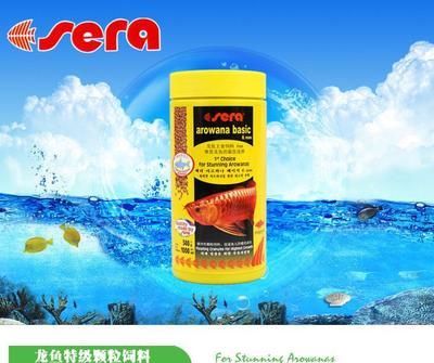 龍魚便宜了【養殖技術的進步可能降低了龍魚的生產成本，從而影響龍魚的價格】