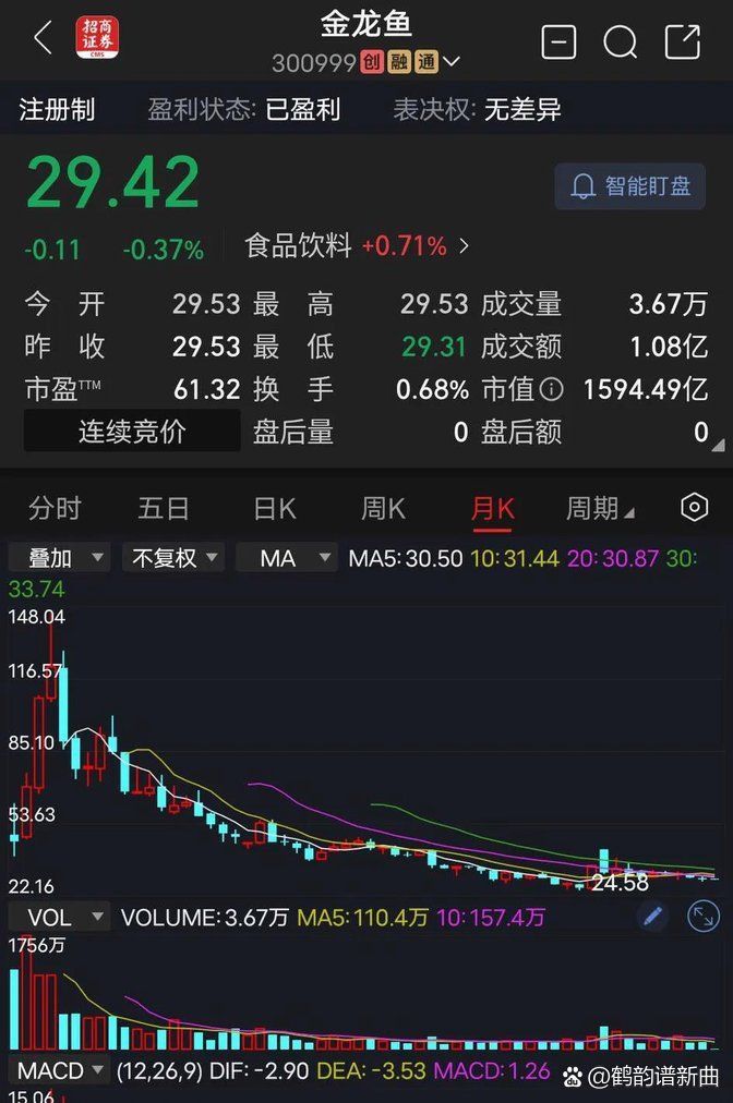 高背金龍魚(yú)多少錢一條