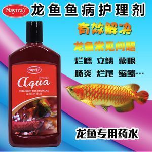 龍魚眼球變白的原因：龍魚眼球變白怎么辦