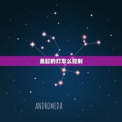水族箱光照時間如何控制：如何選擇水族箱燈光顏色