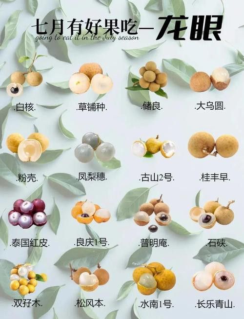 如何減少紅龍眼的副作用？