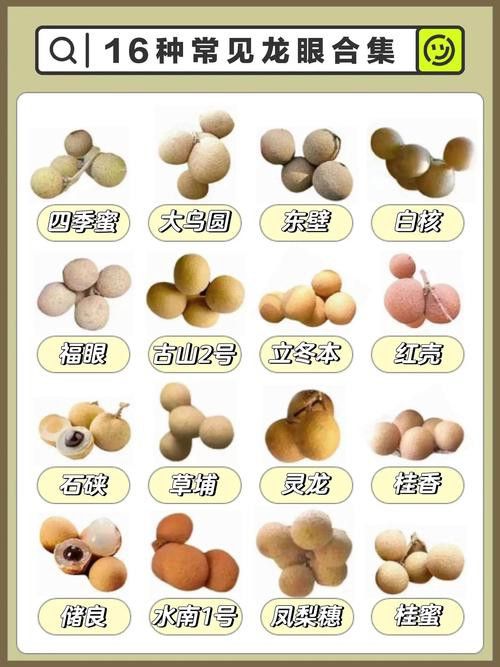 如何減少紅龍眼的副作用？