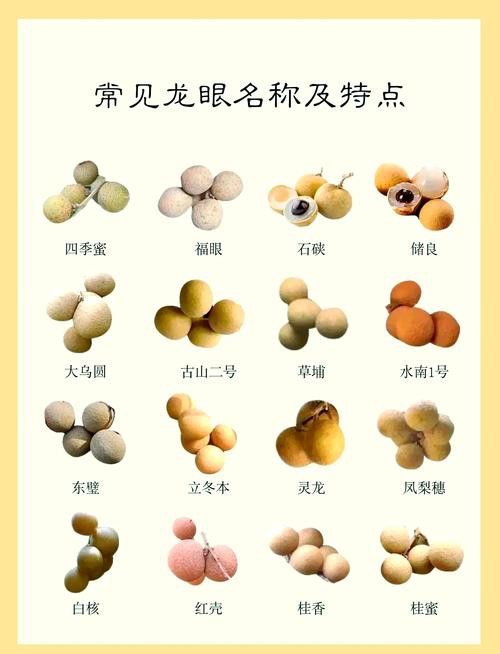 如何減少紅龍眼的副作用？