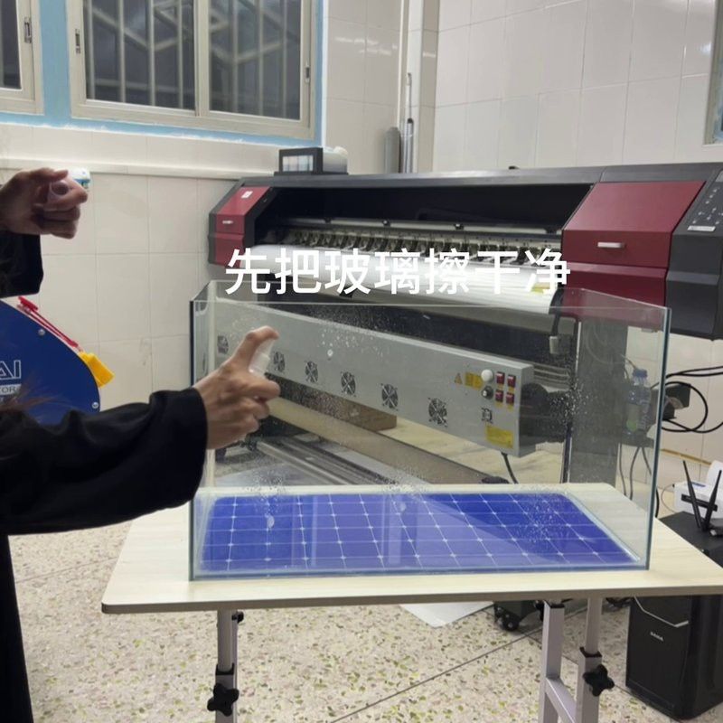 如何選擇適合龍魚的壁紙？