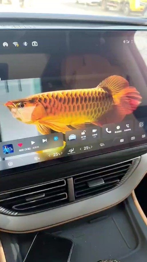 騰勢D9金龍魚壁紙如何下載？